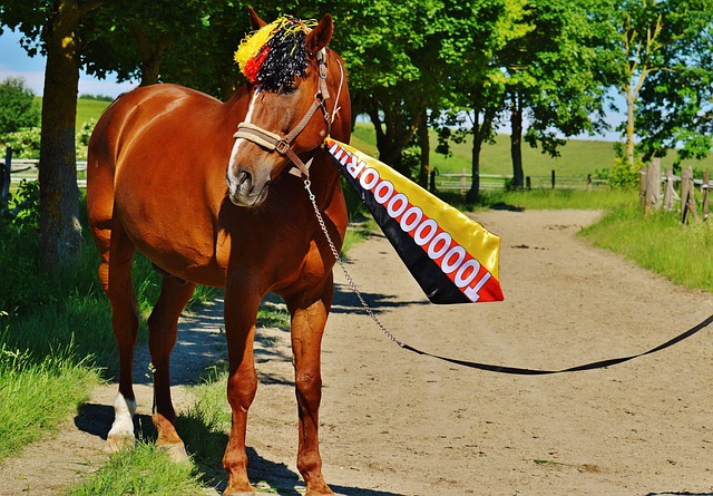 年世界杯和 年世界杯和