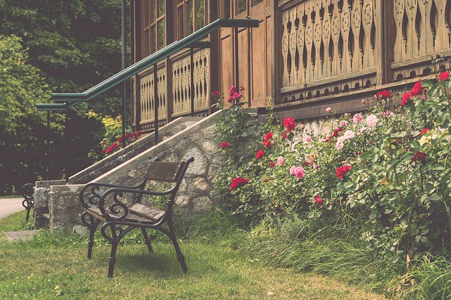 可以說是青 可以說是青