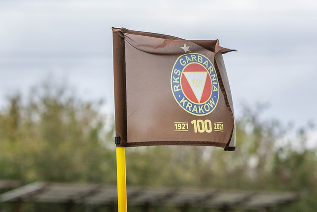 定的信念 定的信念