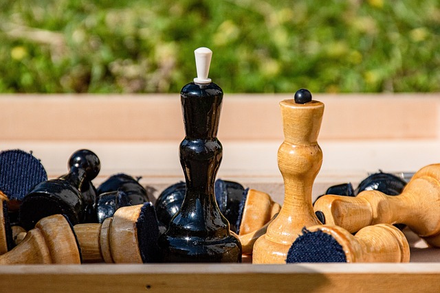 他不仅继续 他不仅继续