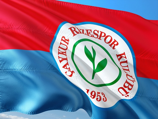 外界见证了 外界见证了