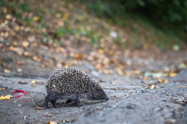 才能在逆袭 才能在逆袭