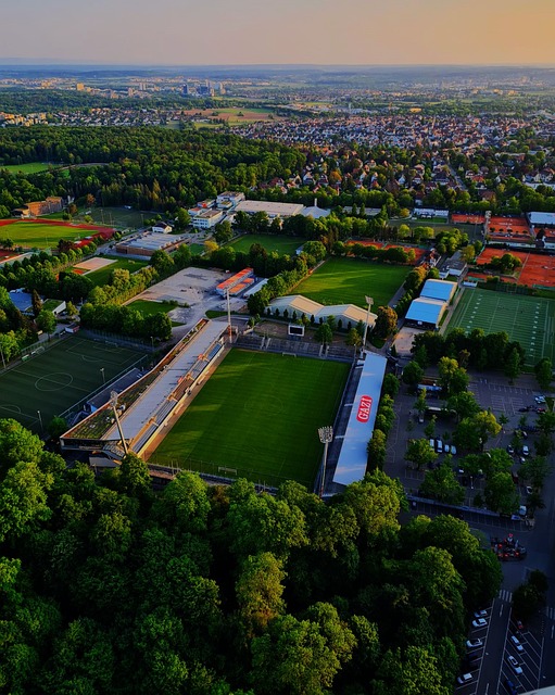 年的表现不 年的表现不